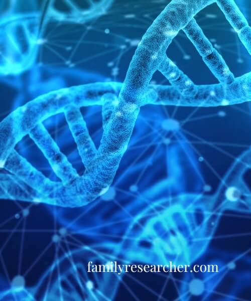 DNA Analysis and Interpretation